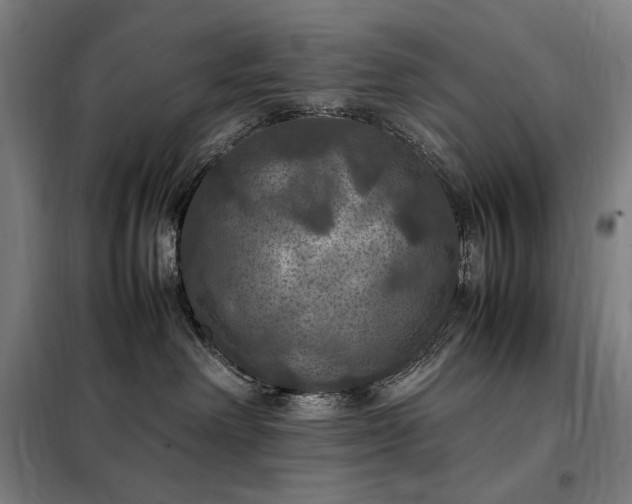 X0000098000238200804021039