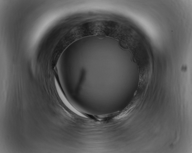 X0000098000239200804021038