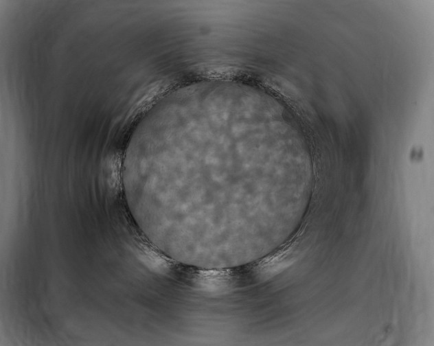 X0000098000240200804021038