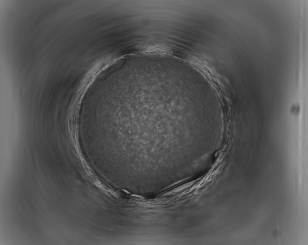 X0000098000241200804021038