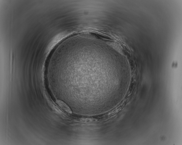 X0000098000242200804021038