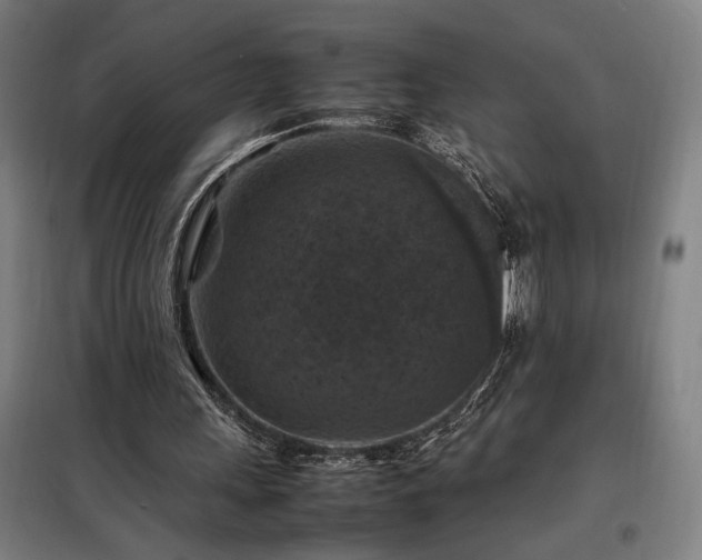 X0000098000243200804021038