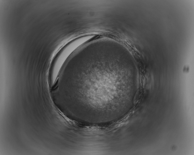 X0000098000244200804021038