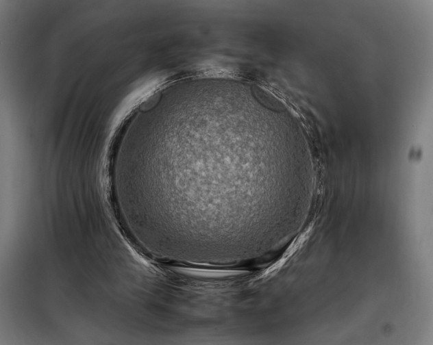 X0000098000245200804021038