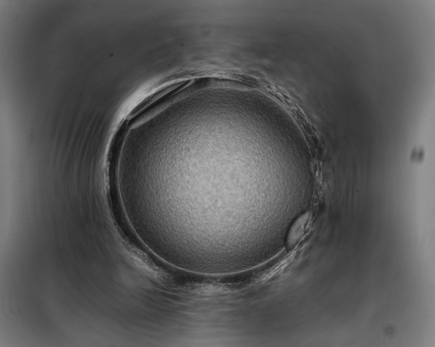 X0000098000246200804021038