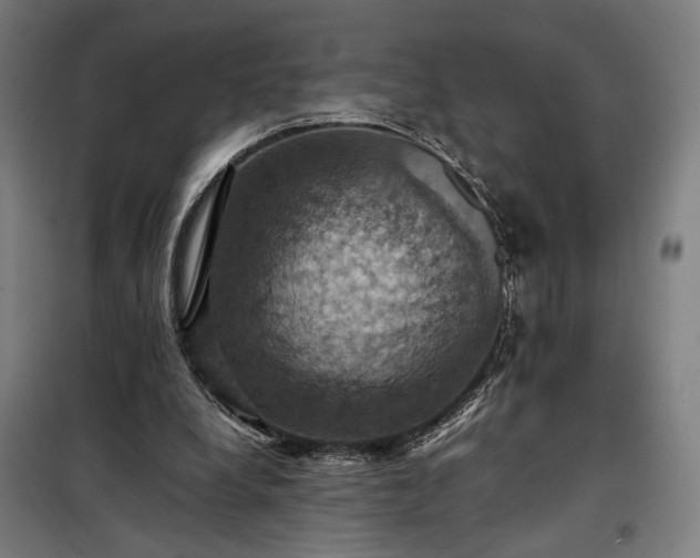 X0000098000248200804021038