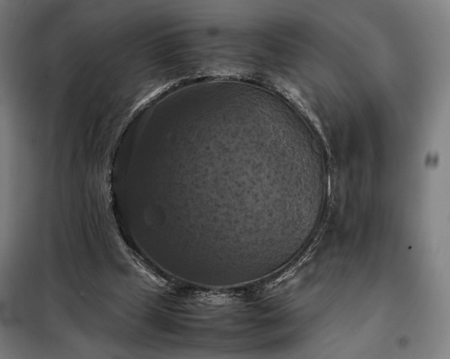 X0000098000249200804021038