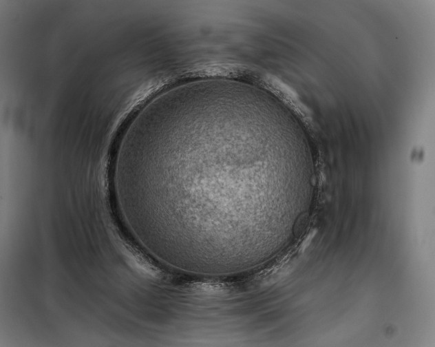 X0000098000250200804021038