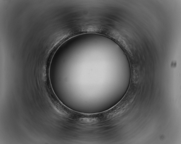 X0000098000251200804021038