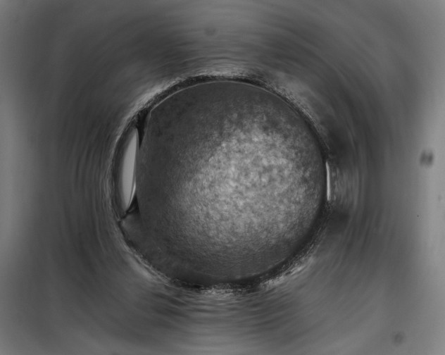 X0000098000252200804021038