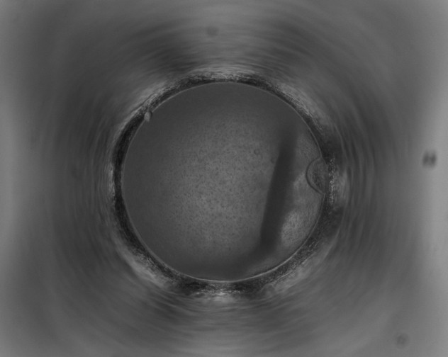 X0000098000254200804021038
