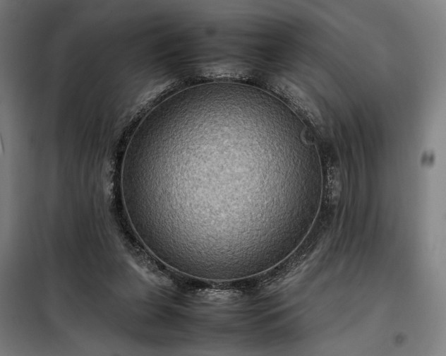 X0000098000255200804021038