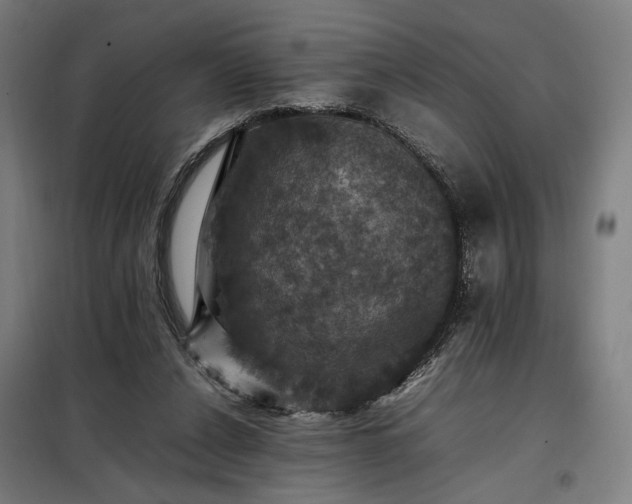 X0000098000256200804021038