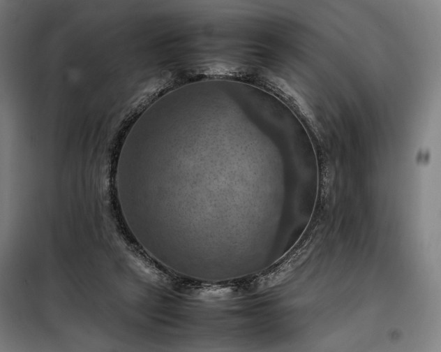 X0000098000257200804021038