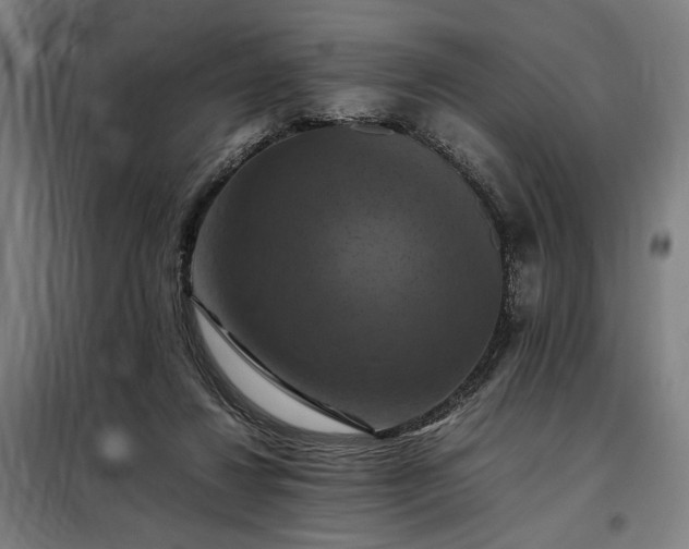 X0000098000260200804021038