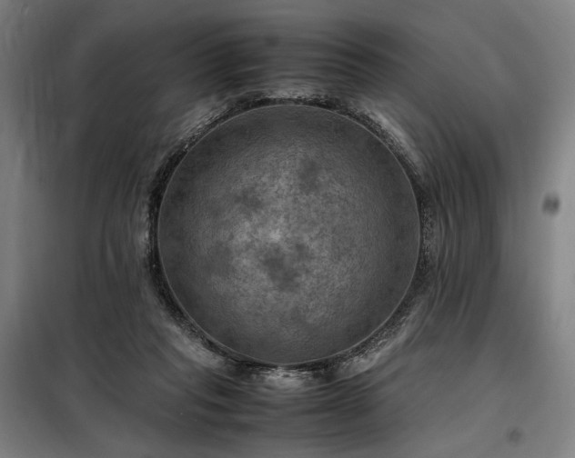 X0000098000261200804021038