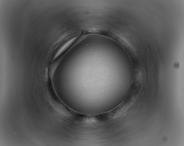 X0000098000262200804021038