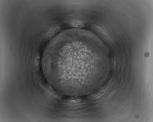 X0000098000263200804021038