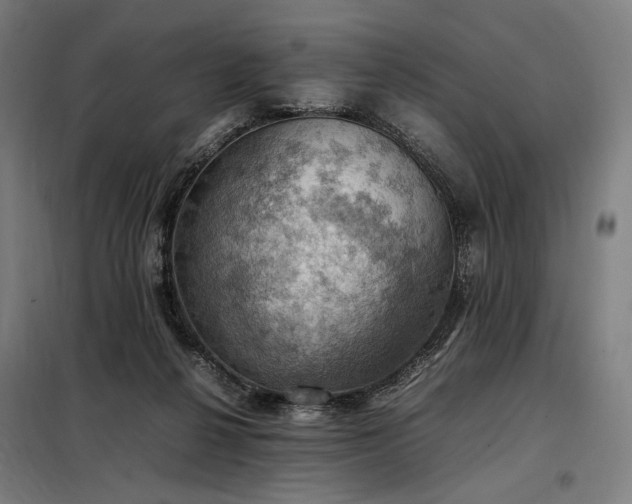 X0000098000264200804021038