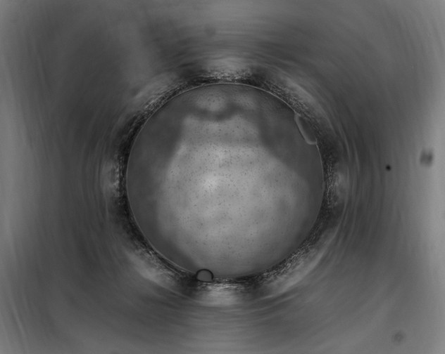 X0000098000268200804021038