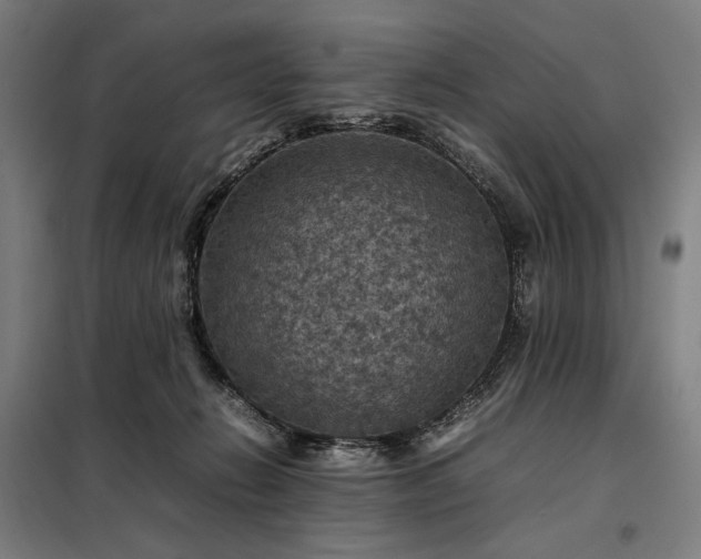 X0000098000270200804021038