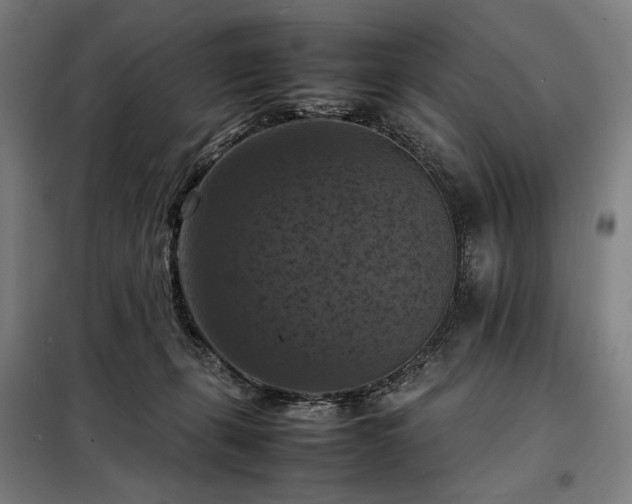 X0000098000271200804021038