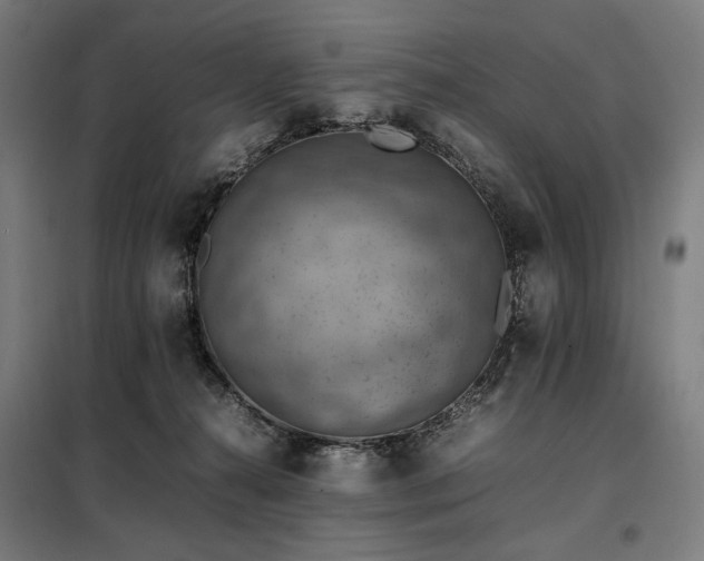 X0000098000272200804021038