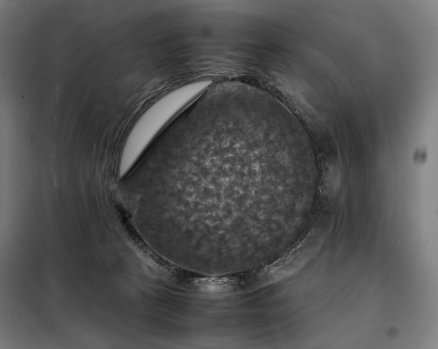 X0000098000273200804021038