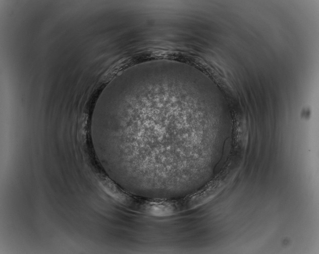 X0000098000275200804021038