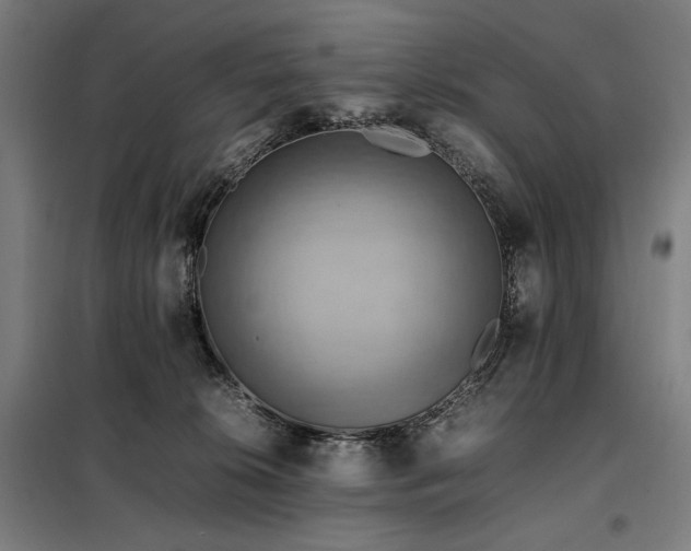X0000098000276200804021038