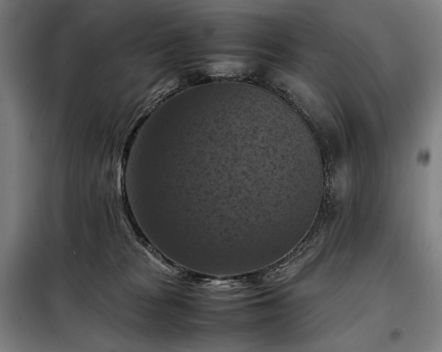 X0000098000277200804021038