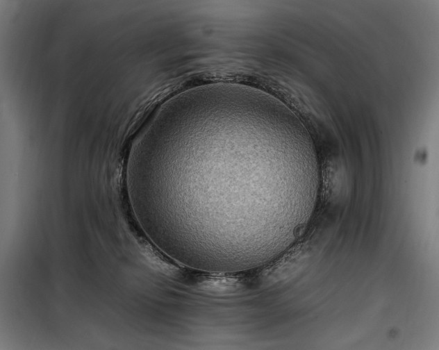 X0000098000278200804021038