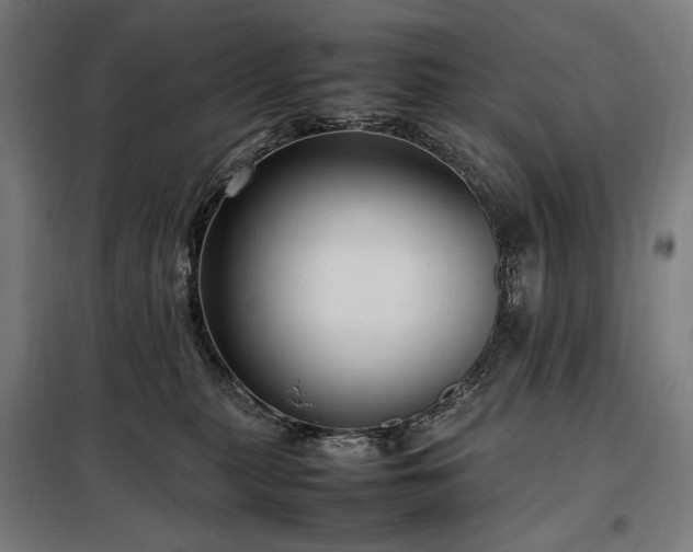 X0000098000279200804021038