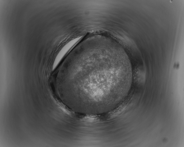 X0000098000280200804021038