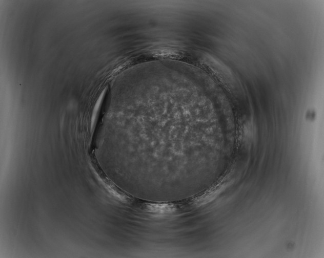 X0000098000281200804021038