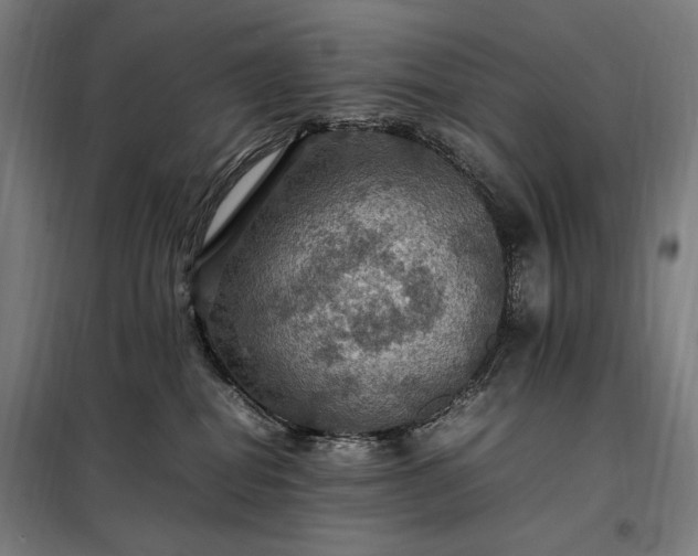 X0000098000282200804021038