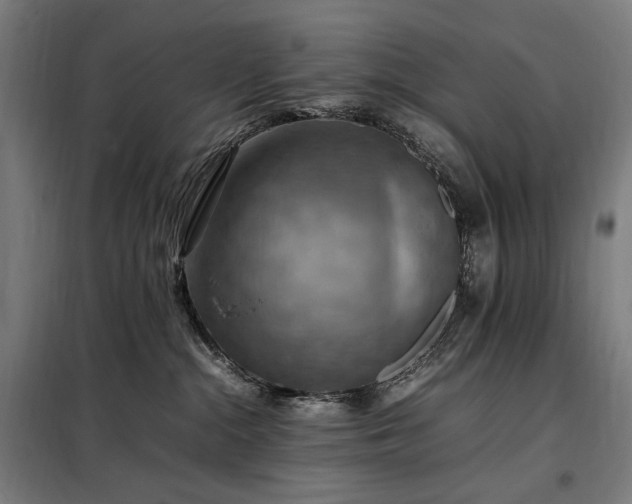 X0000098000284200804021038