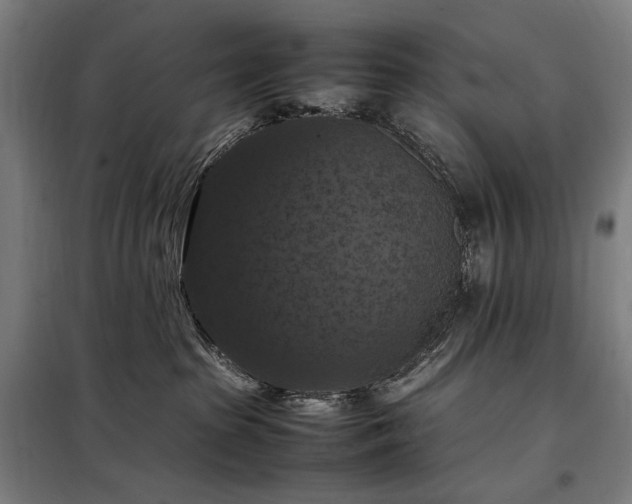 X0000098000285200804021038