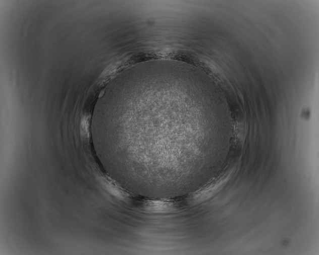 X0000098000286200804021038