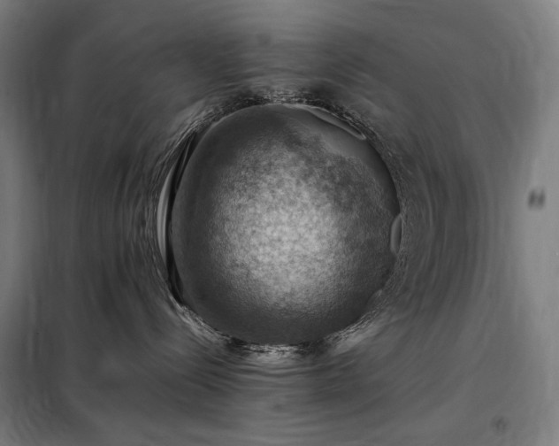 X0000098000288200804021038