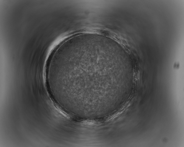 X0000098000294200804021038
