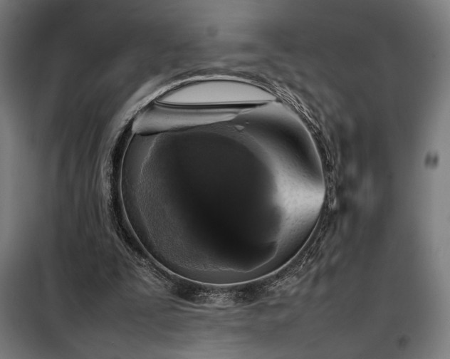 X0000098000295200804021038