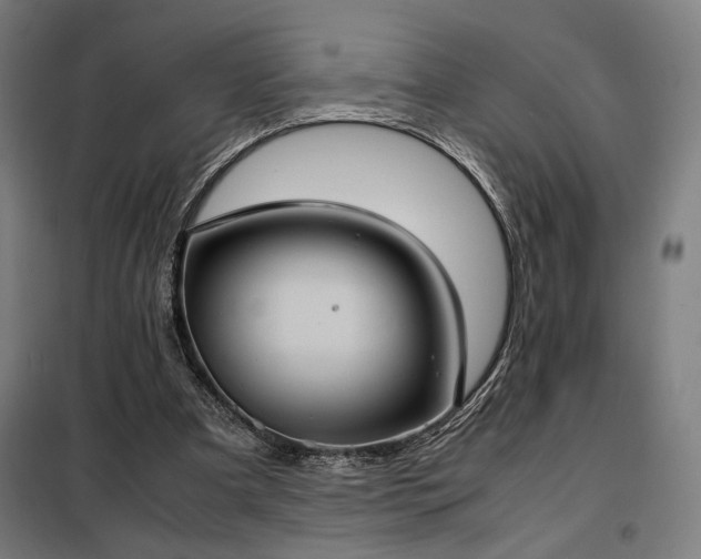 X0000098000297200804021038