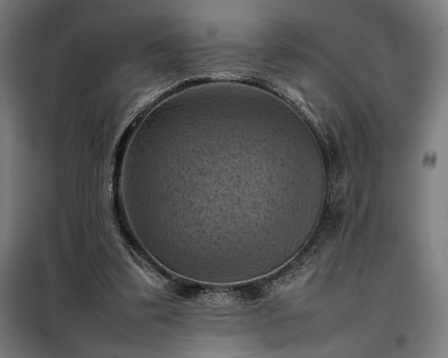 X0000098000299200804021037
