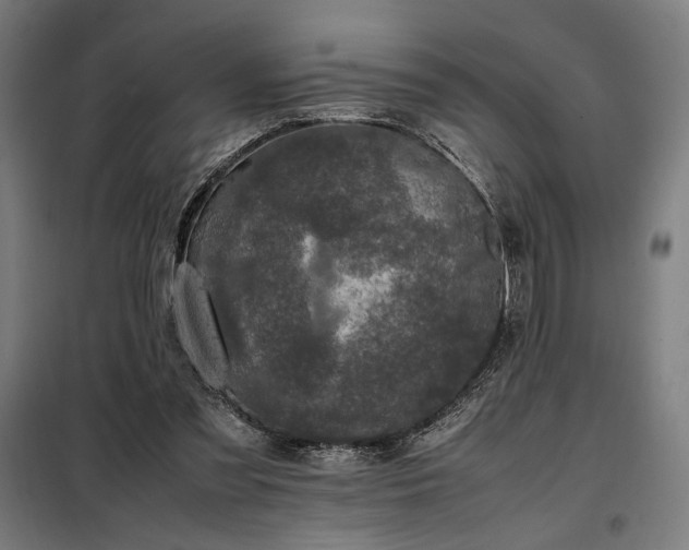 X0000098000301200804021037