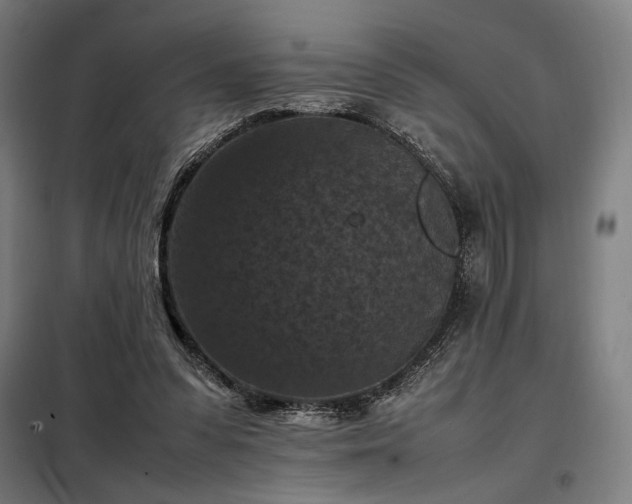 X0000098000303200804021037
