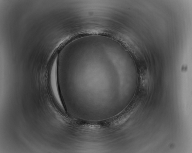 X0000098000304200804021037