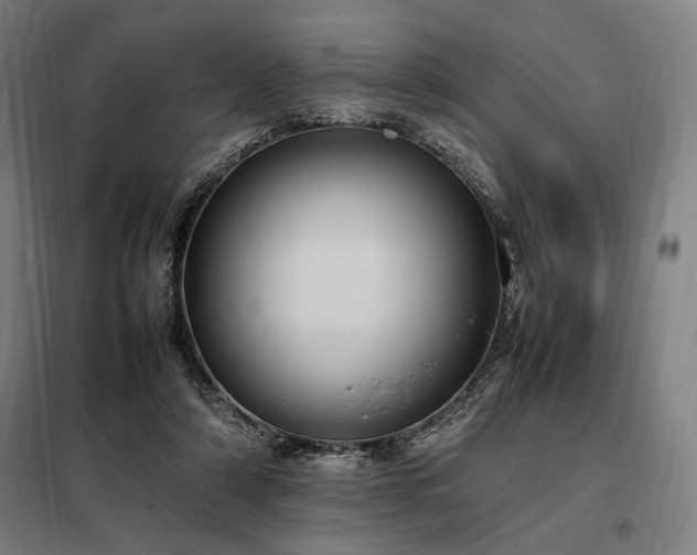 X0000098000306200804021037