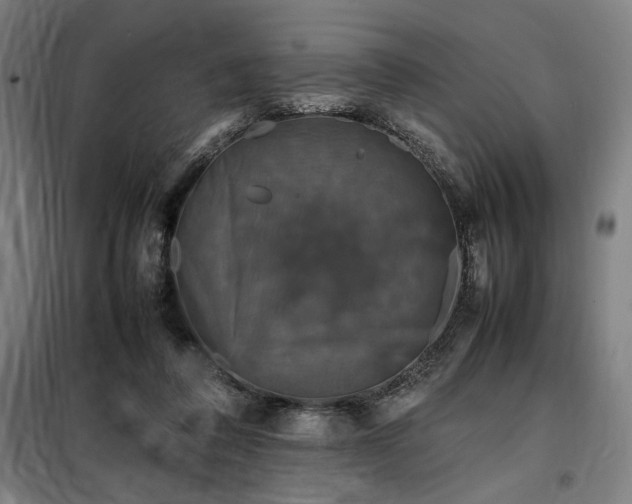 X0000098000308200804021037