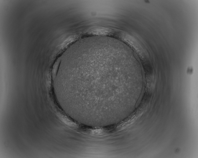X0000098000309200804021037
